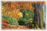 Hinterreit - podzimní příroda